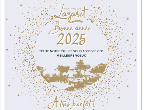 Bonne année 2025, meilleurs voeux !